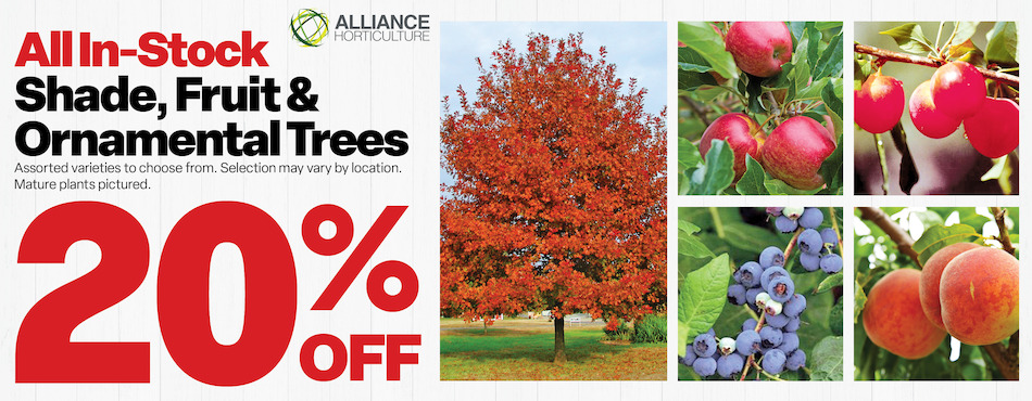20% off Trees