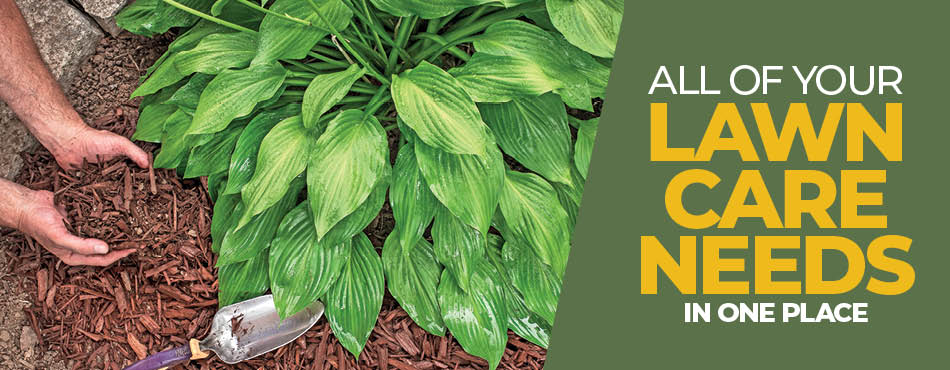 August 2025 Web Banner 3