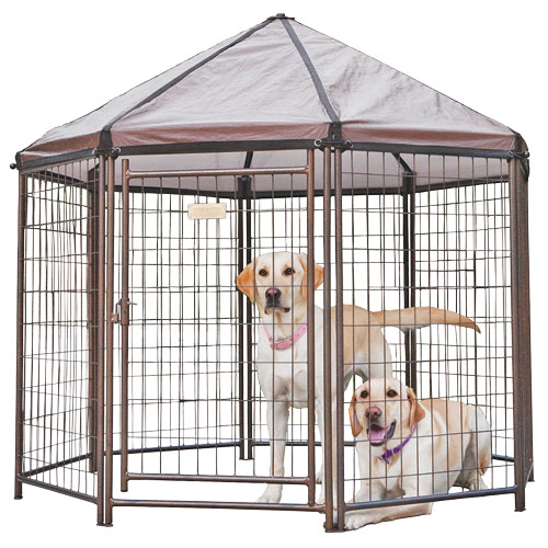 rural king dog crates