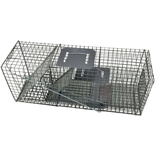 24 in Single Live Animal Trap by Farm Pro at Fleet Farm