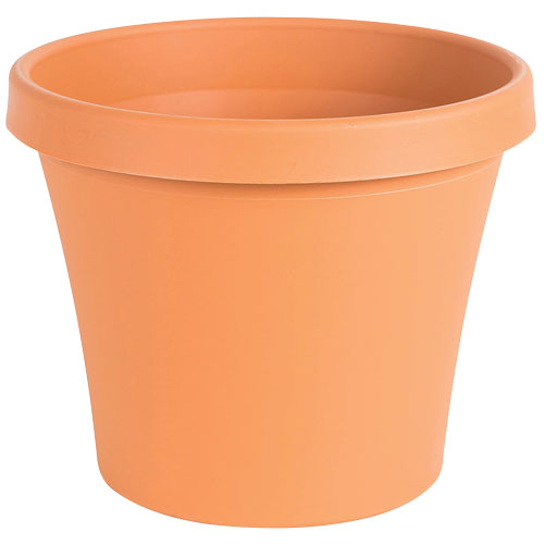 12 Standard Terra Cotta Clay Pot